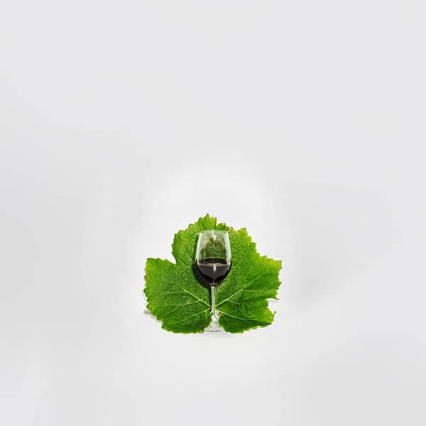Project cover